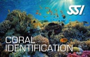 Especialidad Identificación de Coral SSI [SR]